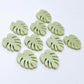 17mm eucalyptus green monstera leaf acrylic stud earring blanks laid flat together.