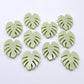 17mm eucalyptus green monstera leaf acrylic stud earring blanks laid flat together.