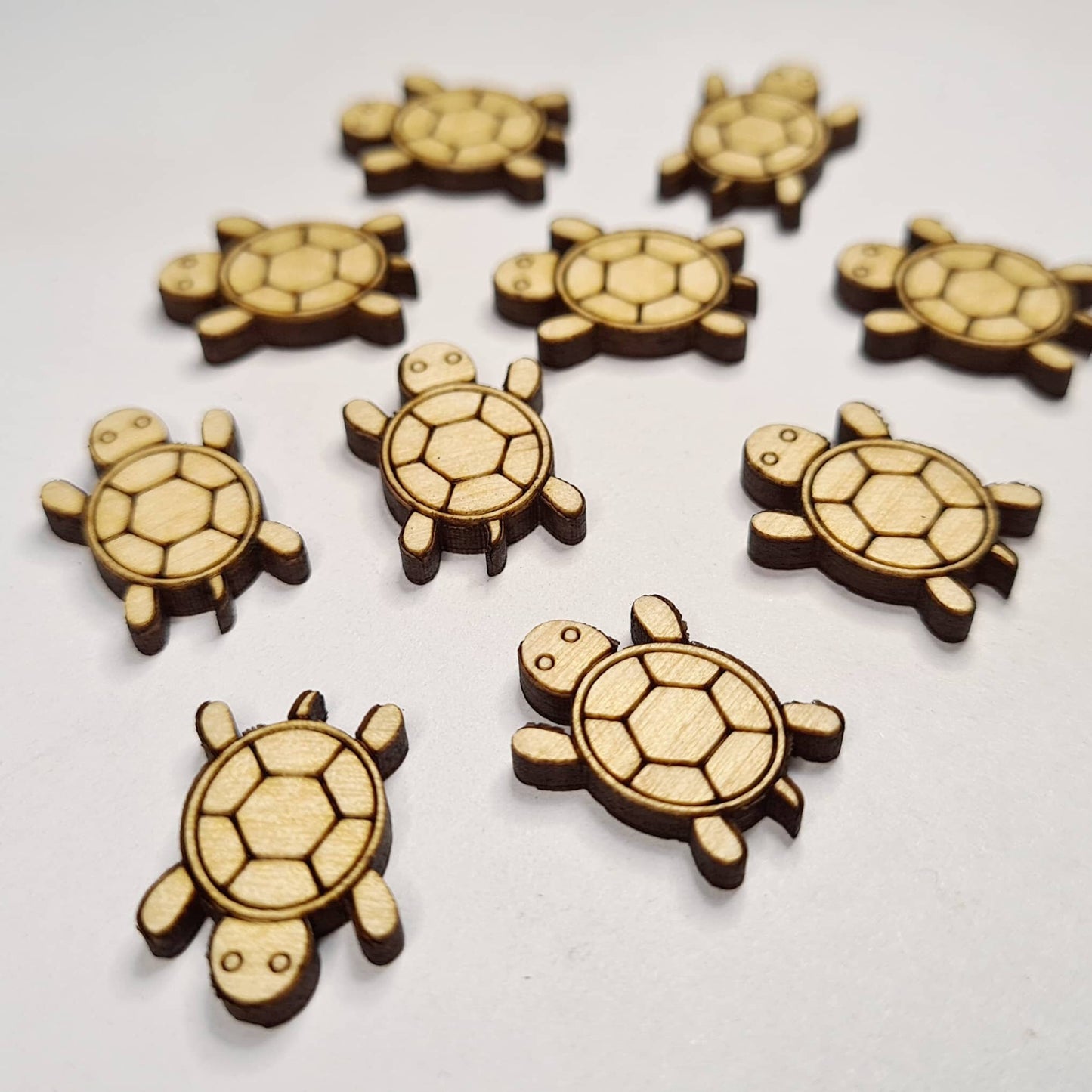 19mm Birch TURTLES