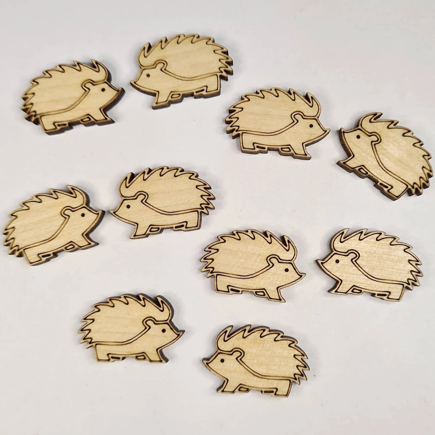 19mm Birch ECHIDNAS